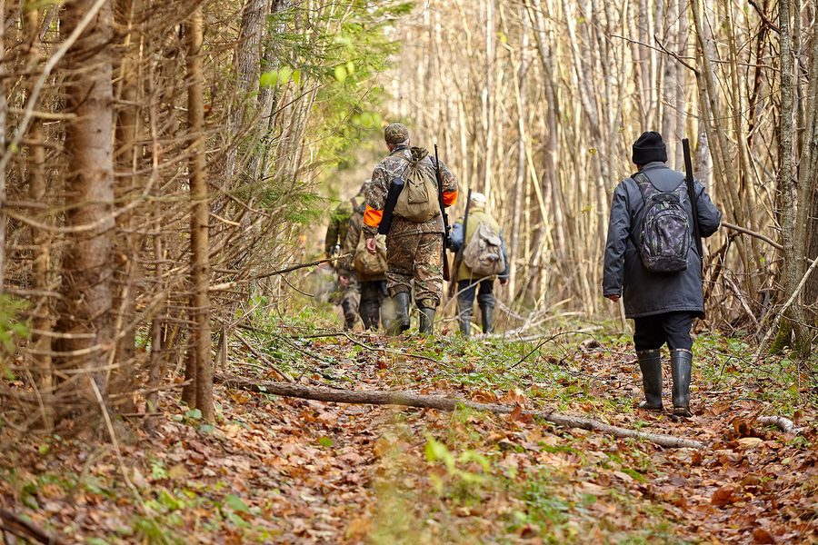 Jagdpachtvertrag: Schadensersatzpflicht bei vorzeitiger Vertragsbeendigung