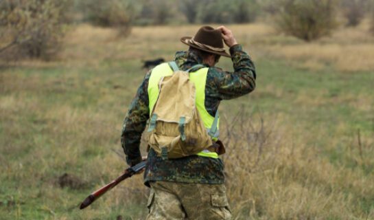 Haftung des Jagdausübungsberechtigten für Wildschäden bei nicht ausreichender Sicherung