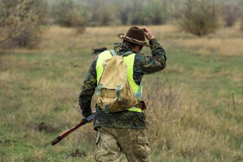 Haftung des Jagdausübungsberechtigten für Wildschäden