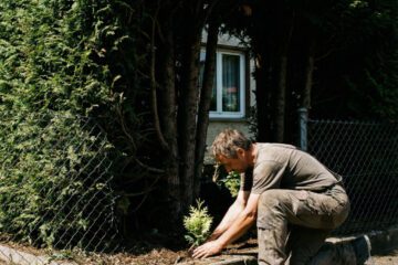 Verjährung von Beseitigungsansprüchen bei Hecken-Erneuerung und Klagebefugnis